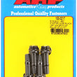 Load image into Gallery viewer, ARP 5/16-24 X 1.450 starter nose black 12pt water pump pulley stud kit