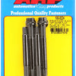 Load image into Gallery viewer, ARP 5/16-24 X 3.000 black 12pt water pump pulley w/ 1.750in fan spacer stud kit