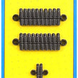 Load image into Gallery viewer, ARP BB Chevy 12pt Oil Pan Stud Kit