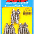 Load image into Gallery viewer, ARP BB Chevy Stamped Steel Covers SS 12 pt Valve Cover Stud Kit