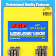 Load image into Gallery viewer, ARP BMW S1000RR RBK Rod Bolt Kit