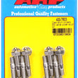 Load image into Gallery viewer, ARP Cast Aluminum Covers 1/4in SS Hex Valve Cover Stud Kit