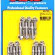 Load image into Gallery viewer, ARP Cast Aluminum Covers SS Valve Cover Stud Kit
