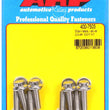 Load image into Gallery viewer, ARP Cast Aluminum Valve Cover 1/4in 12pt  Bolt Kit