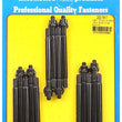 Load image into Gallery viewer, ARP Dart Brodix &amp; B&amp;B 12pt valve cover stud kit