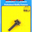 Load image into Gallery viewer, ARP Ford Modular V8 (M10) Cam Bolt Kit