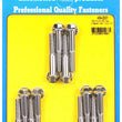 Load image into Gallery viewer, ARP Ford SS Hex Intake Manifold Bolt Kit