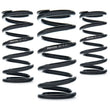 Load image into Gallery viewer, AST Linear Race Springs - 80mm Length x 20 N/mm Rate x 61mm ID - Single - Side View