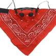 Load image into Gallery viewer, ATV-TEK Bandana Dust Mask - Red BDMRED - Main Product View