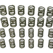 Load image into Gallery viewer, aasco motorsports Valve Spring Set HP109 KIT