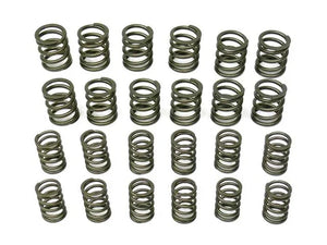 aasco motorsports Valve Spring Set HP109 KIT