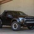 Load image into Gallery viewer, Addictive Desert Designs 17-18 Ford F-150 Raptor Race Series Chase Rack w/ 2017 Grill Pattern - Back View