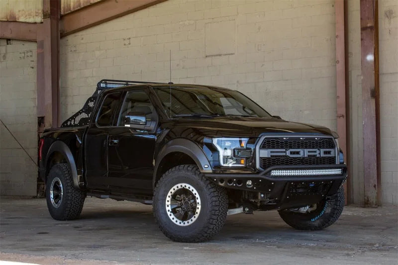 Addictive Desert Designs 17-18 Ford F-150 Raptor Race Series Chase Rack w/ 2017 Grill Pattern - Back View