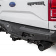 Load image into Gallery viewer, Addictive Desert Designs 17-18 Ford F-150 Raptor Stealth Fighter Rear Bumper - Back View