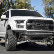 Load image into Gallery viewer, Addictive Desert Designs 17-20 Ford F-150 Raptor Rock Fighter Frame Cut Front Bumper - Side View