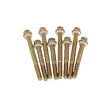 Load image into Gallery viewer, Advanced Engine Design 4160 Fuel Bowl Screws (8) 5250
