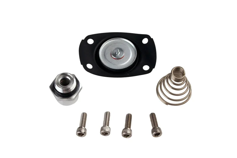 Aeromotive Carb Regulator Repair Kit (13201/13205/13211/13215/13217/13251/13255) - Main Product View