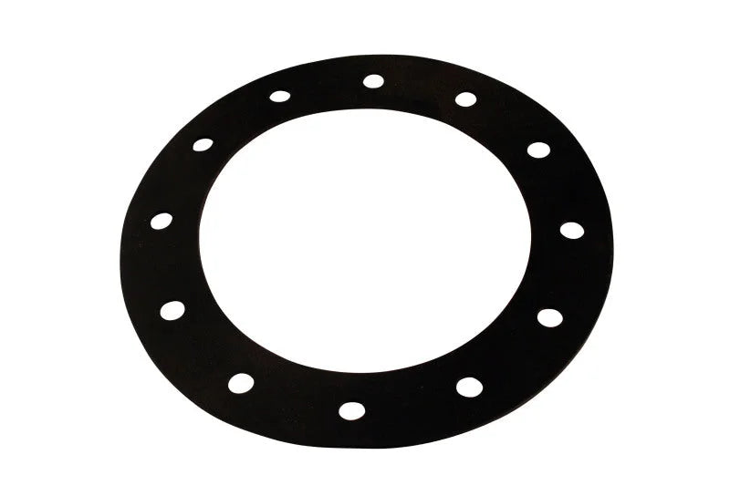 Aeromotive Fuel Cell Filler Neck Replacement Gasket - Main Product View