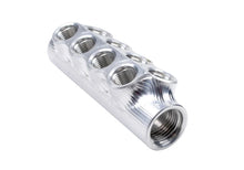 Load image into Gallery viewer, Aeromotive Fuel Distribution Log (10-Ports) (2) -10 AN/(8) -6 AN - Main Product View