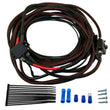 Load image into Gallery viewer, Aeromotive Fuel Pump 60A Deluxe Wiring Kit - Back View