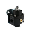 Load image into Gallery viewer, Aeromotive Marine 2-Port AN-06 Carb. Reg - Side View