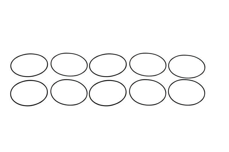 Aeromotive Replacement O-Ring (for Filter Body 11218 (A3000)) (Pack of 10) - Main Product View