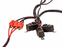 Load image into Gallery viewer, Aeromotive Wiring Harness Kit - Triple Fuel Pump - Side View