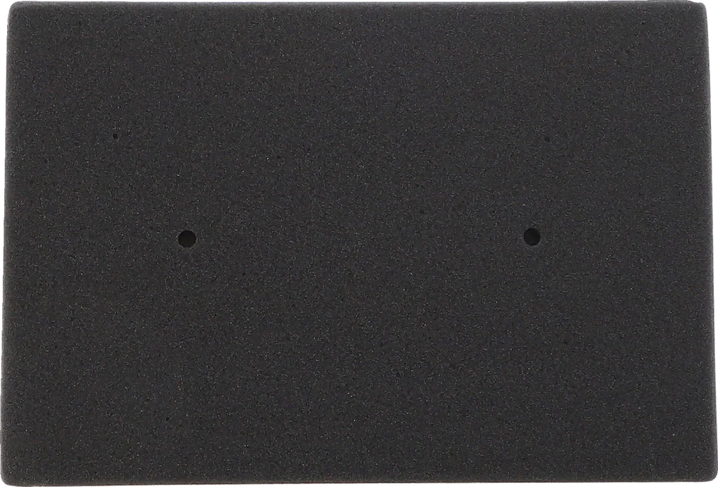 Air Filter - Kawasaki - Main Product View