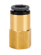 Load image into Gallery viewer, Air Lift Straight Female - 1/4in FNPT X 3/8in PTC - DOT - SMC# KV2F11-35 - Side View