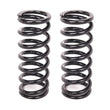 Load image into Gallery viewer, Aldan American Coil Over Springs (pair) 2.5in x 9in - 300lbs 9-300BK2