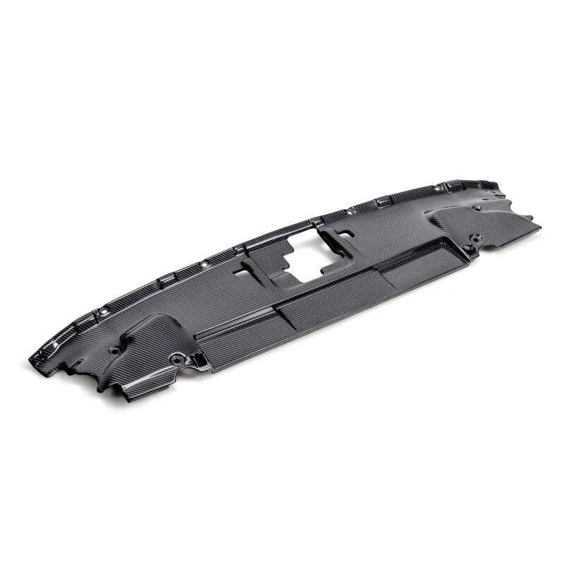 Anderson Composites 18-23 Ford Mustang Radiator Cover - Back View