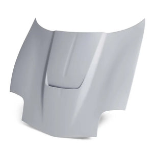 Anderson Composites Type-TM Fiberglass Hood fits 1997-2004 Chevrolet Corvette C5 - Main Product View