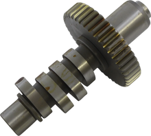 Load image into Gallery viewer, Andrews Cam - AB Grind - Shovelhead 212320 - Main Product View