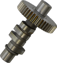 Load image into Gallery viewer, Andrews Cam - C Grind - Big Twin 212600 - Main Product View