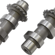 Load image into Gallery viewer, Andrews Cam Set - 31H - Chain Drive - Twin Cam 216331 - Main Product View
