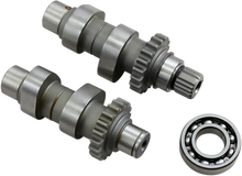 Load image into Gallery viewer, Andrews Cam Set - TW21 - Chain Drive - Twin Cam 288121 - Main Product View