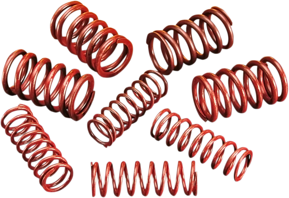 Andrews High-Lift Springs 294150