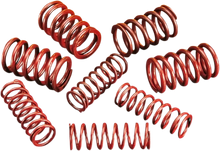 Load image into Gallery viewer, Andrews High-Lift Springs 294150