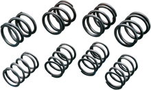 Load image into Gallery viewer, Andrews High-Lift Valve Springs 272110