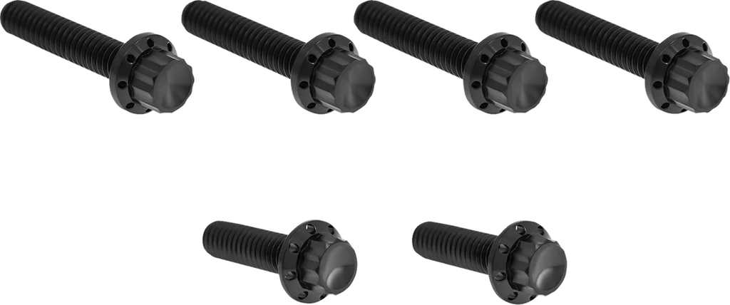 Arlen Ness Bolt Kit - Cable Clutch - Titanium - 12-Point - M8/Twin Cam - Black - Main Product View