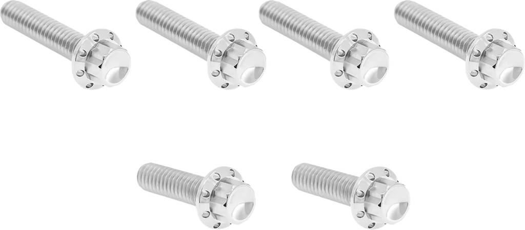 Arlen Ness Bolt Kit - Cable Clutch - Titanium - 12-Point - M8/Twin Cam - Black - Side View