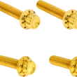 Load image into Gallery viewer, Arlen Ness Bolt Kit - Cable Clutch - Titanium - 12-Point - Gold300-705 fits M8 / Twin Cam - Main Product View