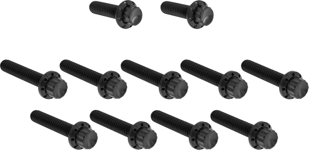 Arlen Ness Bolt Kit - Cam Cover/Point Cover - Titanium - 12-Point - Black - Main Product View