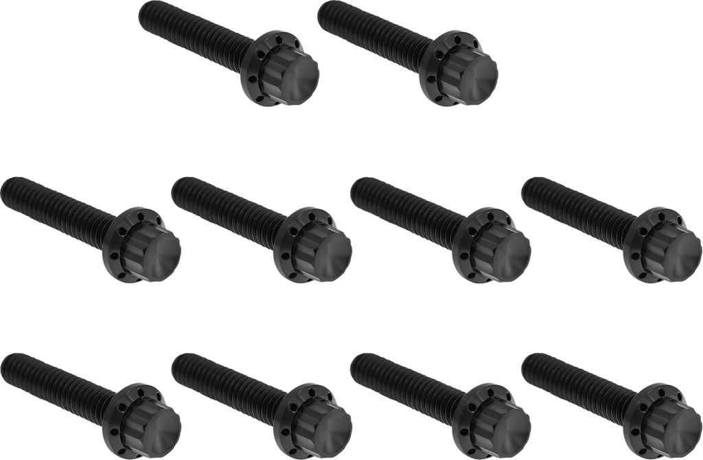 Arlen Ness Bolt Kit - Cam Cover/Point Cover - Titanium - 12-Point - Black - Main Product View