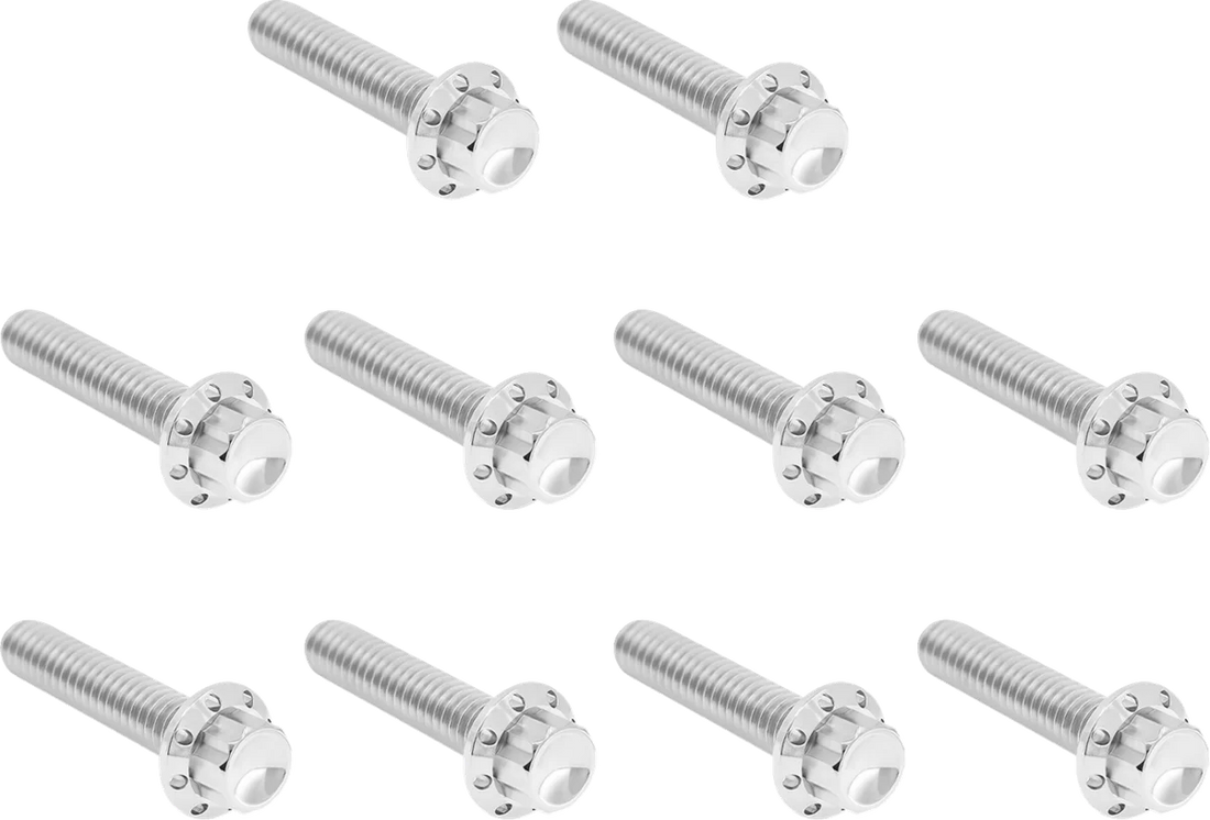 Arlen Ness Bolt Kit - Cam Cover/Point Cover - Titanium - 12-Point - Black - Side View