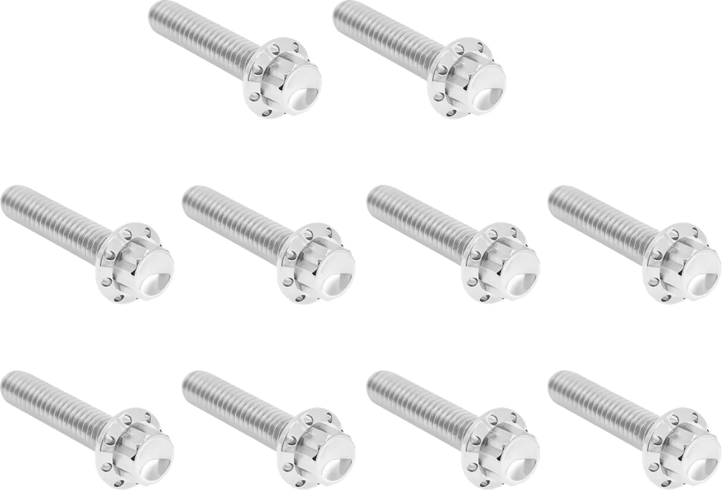 Arlen Ness Bolt Kit - Cam Cover/Point Cover - Titanium - 12-Point - Black - Side View