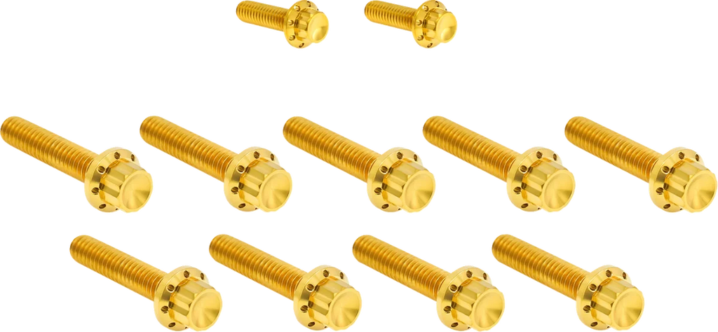 Arlen Ness Bolt Kit - Cam Cover/Point Cover - Titanium - 12-Point - Gold - Main Product View