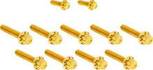 Load image into Gallery viewer, Arlen Ness Bolt Kit - Cam Cover/Point Cover - Titanium - 12-Point - Gold - Main Product View