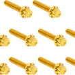 Load image into Gallery viewer, Arlen Ness Bolt Kit - Cam Cover/Point Cover - Titanium - 12-Point - Gold - Main Product View