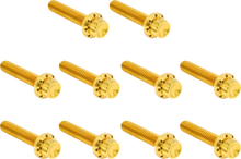 Load image into Gallery viewer, Arlen Ness Bolt Kit - Cam Cover/Point Cover - Titanium - 12-Point - Gold - Main Product View